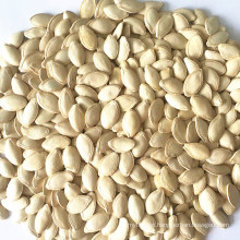 Export shine skin pumpkin seeds for human consumption